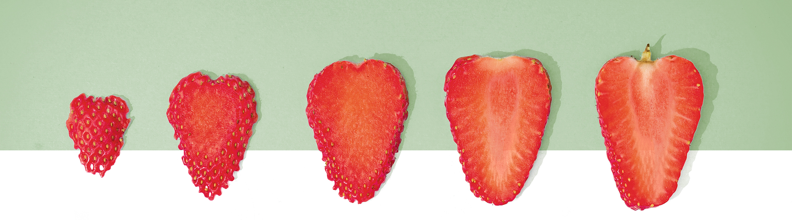 ergonomie-erdbeeren